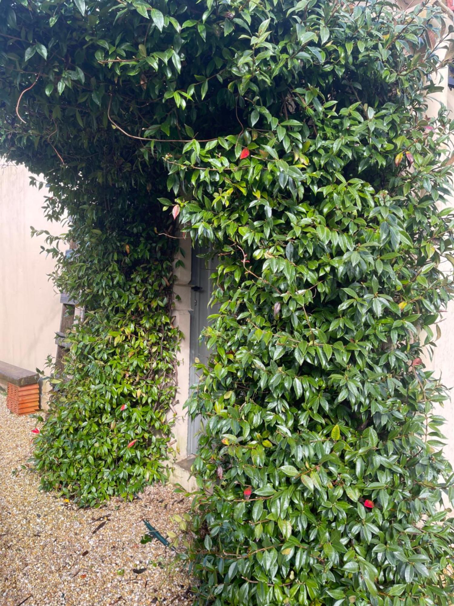 La Casa Da Pipa Villa Cesuras Dış mekan fotoğraf