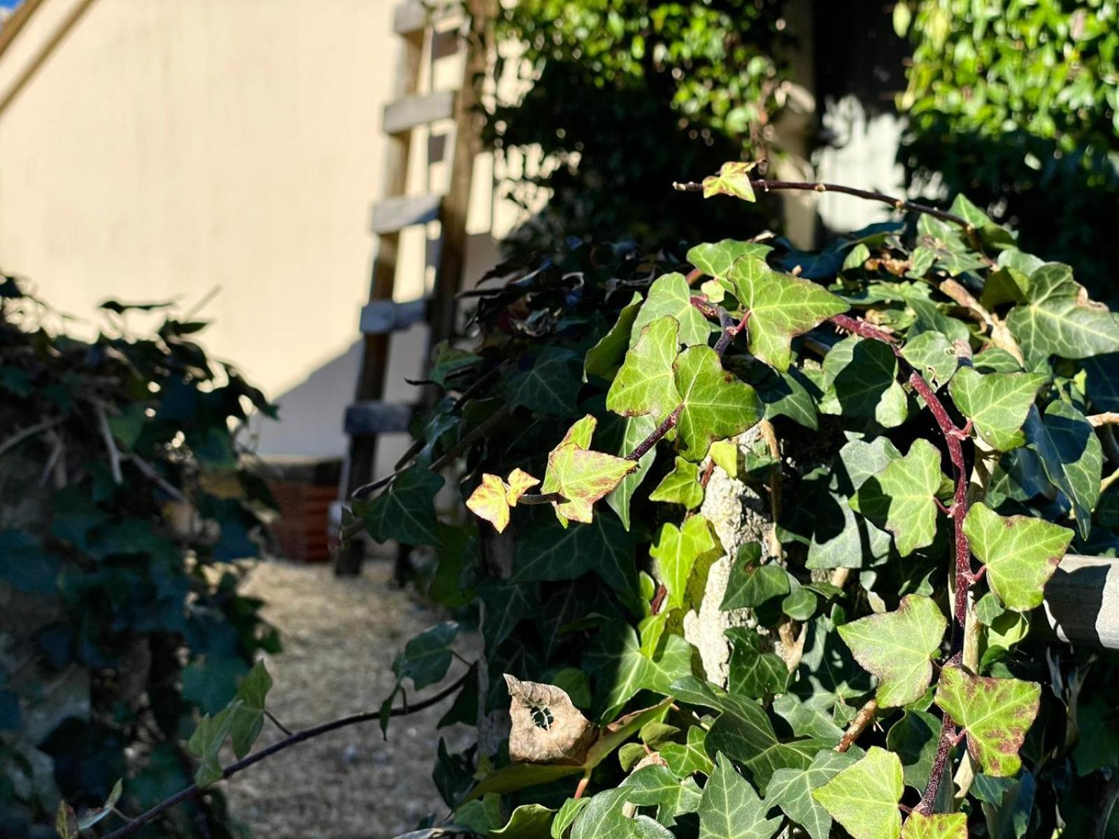 La Casa Da Pipa Villa Cesuras Dış mekan fotoğraf